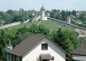 IMGP2187