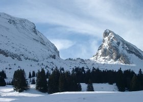 IMGP2470