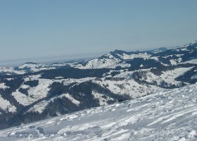 IMGP2440