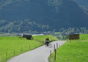 IMG 3201