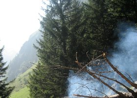 IMG 4577