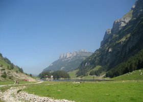 IMG 4578