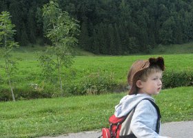 IMG 4611