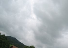 IMG 0293