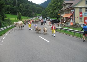 IMG 0317