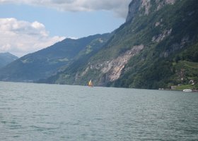 IMG 4716
