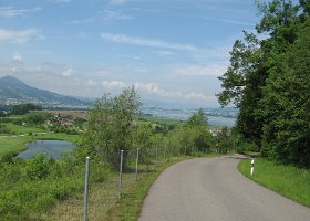IMG 3779