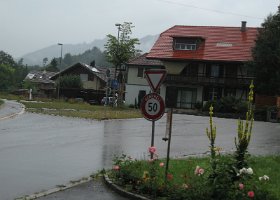 IMG 3943