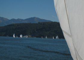 IMG 4298