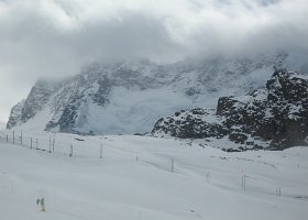 IMG 3557