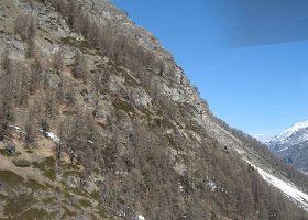 IMG 3596