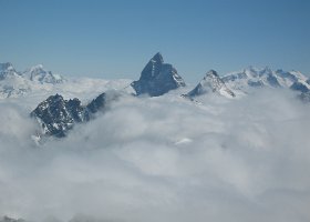 IMG 3623