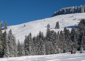 IMG 0042
