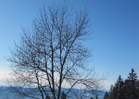 IMG 0045