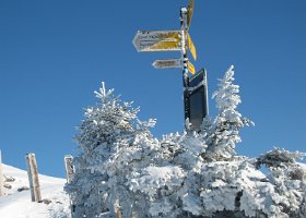 IMG 3265