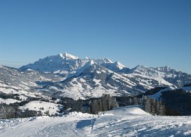 IMG 3274