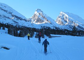 IMG 0050