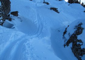 IMG 0065