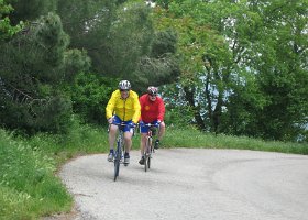IMG 3728