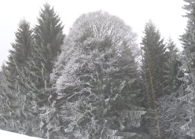 Bilder 2011