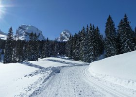 P1020421