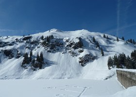 P1020545