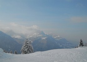 DSCF0056