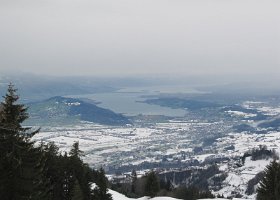 IMG 1717
