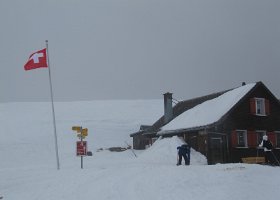 IMG 1732