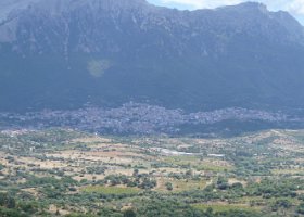 P1050888
