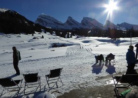 Skitag Bossibrother