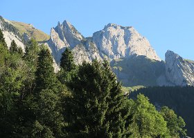 IMG 1307