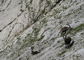 Wanderung Säntis