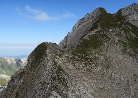 IMG 1365