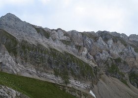 IMG 1390