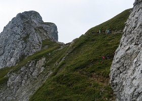 IMG 1392