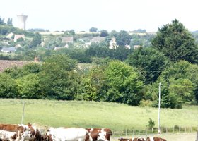 P1080533