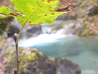 20-11-01 Herbst im Glarnerland