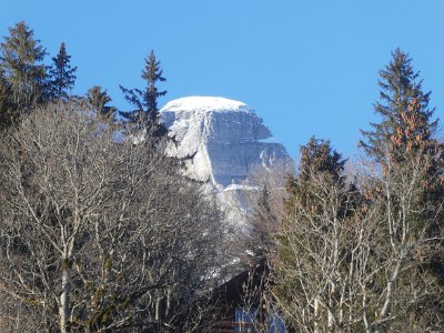 P1030202