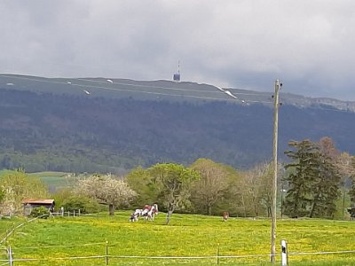 IMG-20210514-WA0006