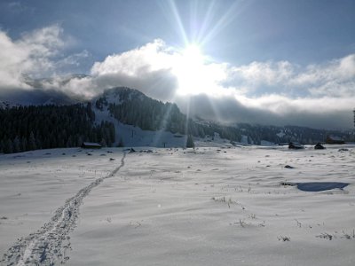 IMG-20230128-WA0001