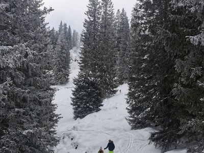 IMG-20230128-WA0010