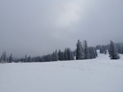 IMG-20230128-WA0015