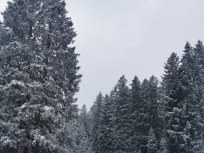IMG-20230128-WA0018