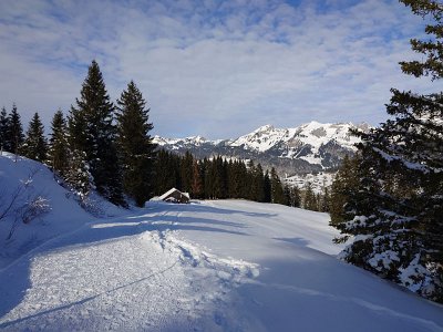 IMG-20250217-WA0000
