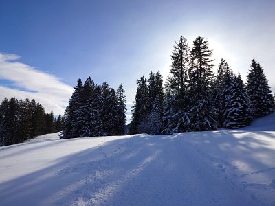 IMG-20250217-WA0001