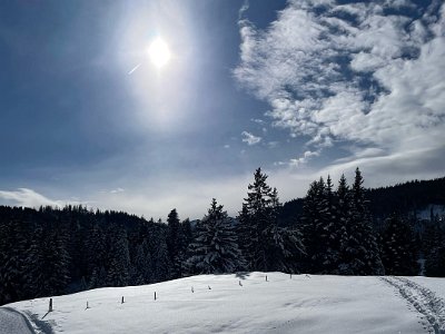 IMG-20250217-WA0003