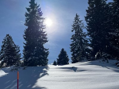 IMG-20250217-WA0007