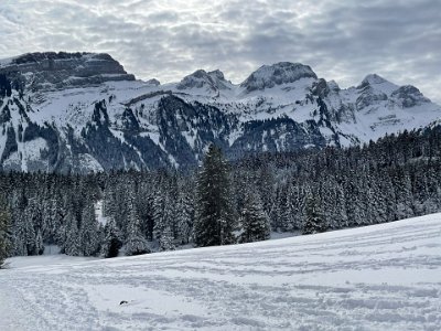 IMG-20250217-WA0010