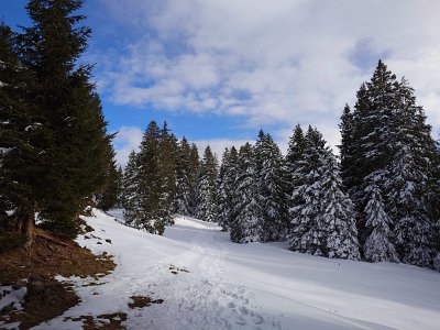 IMG-20250217-WA0023